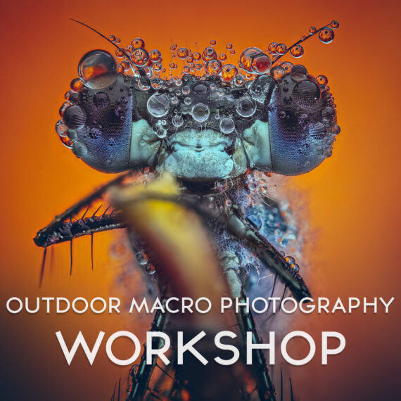 Outdoor Macro Photography Workshop