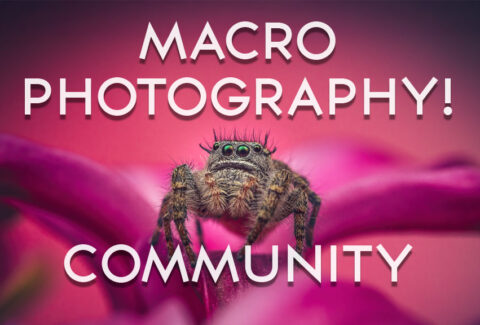 Cover4