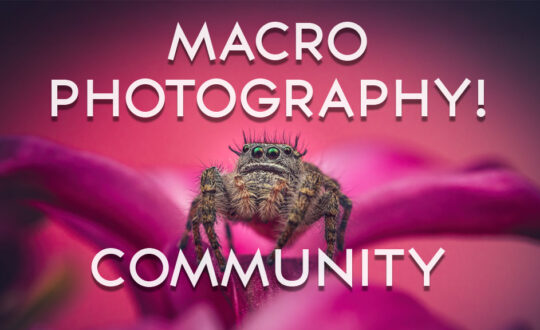 Cover4