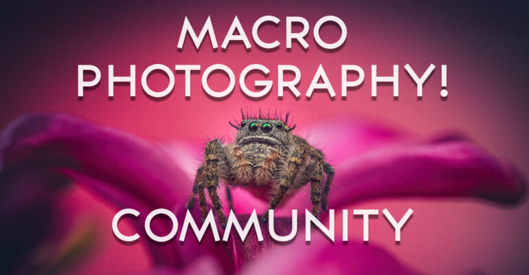 Cover4